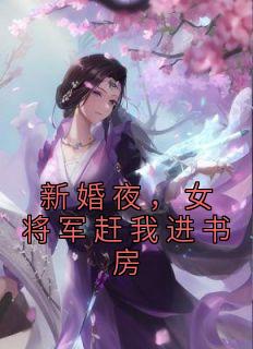 新婚夜，女将军赶我进书房